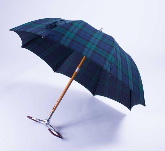 10 Most Expensive Umbrellas In The World !!
